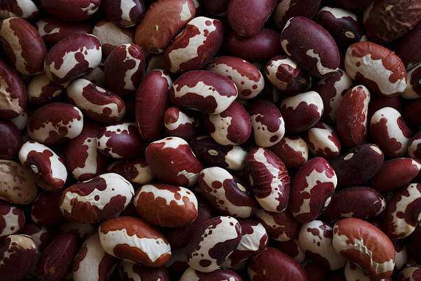 Top 5 Beans Suppliers in Philippines in August 2025: Export Trends, Verified Traders, and Market Insights