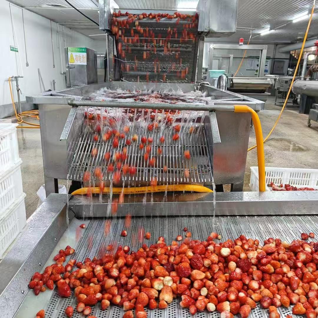 IQF Frozen Strawberries