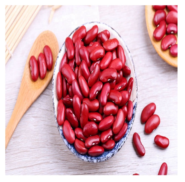 Red Kidney Bean Red Kidney Beans Wholesale Dried Dark Red Kidney Bean For Sale