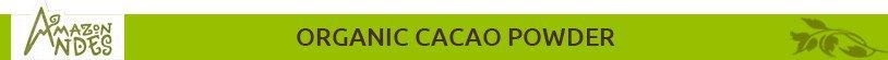 High Quality Organic Cacao Beans Powder With OEM Services Available At Factory Price