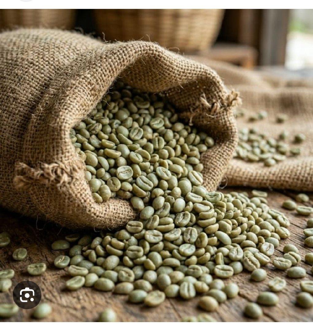 Top 4 verified Arabica Coffee suppliers in United Arab Emirates for Global Buyers - 3