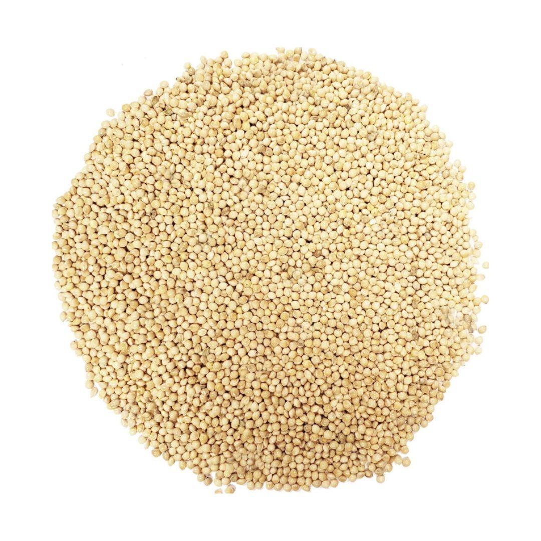 Best Selling Premium Organic Yellow Millet Grade A Packaging Custom Type Dried millet Brand Name Custom Place of Origin UK, CANADA