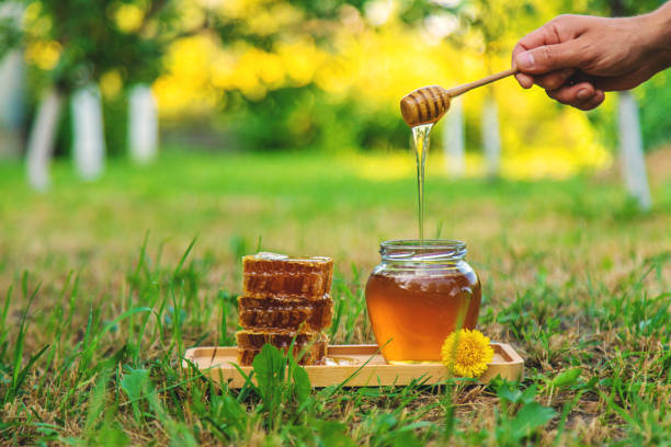 Honey, Belgium, Top 5 Honey Suppliers in Belgium in Quarter 3 of 2025