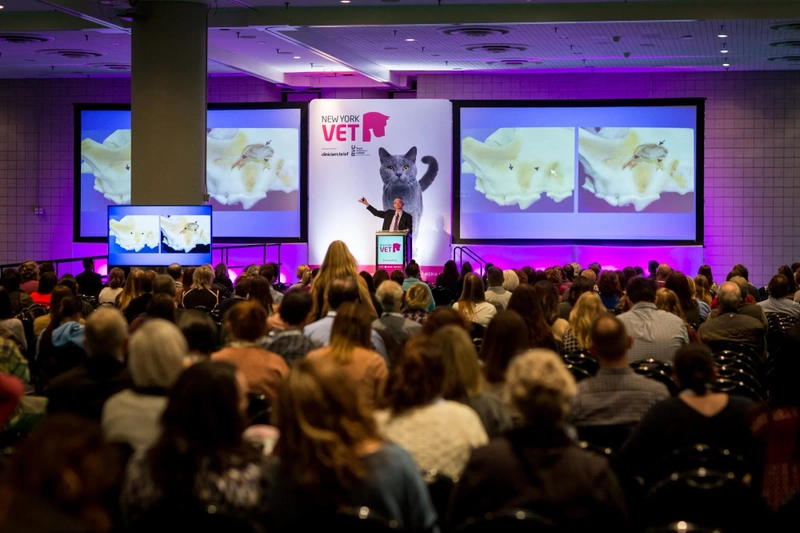 Discover DEUTSCHE VET: B2B Event Guide - 3