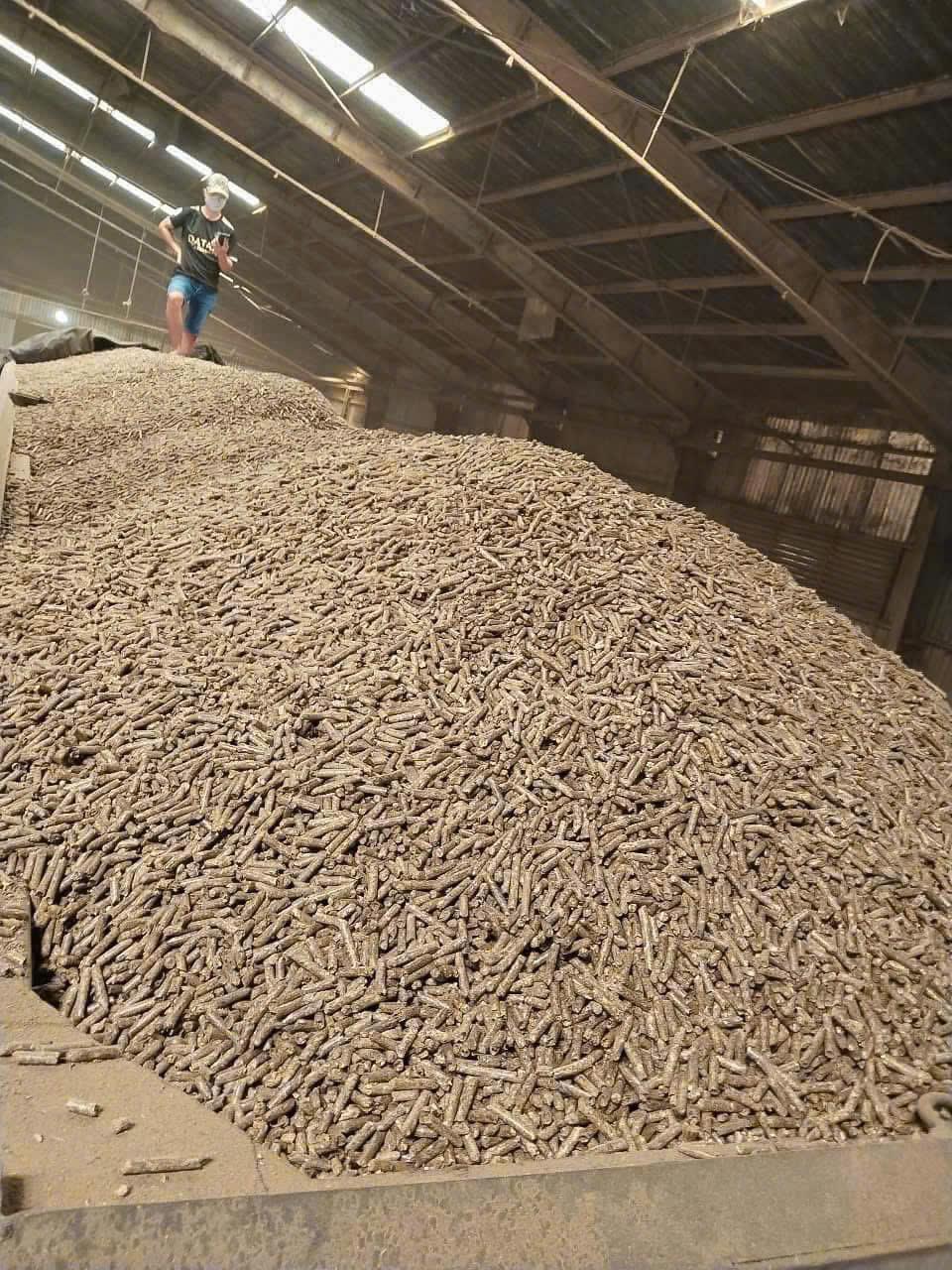 Wood Pellets