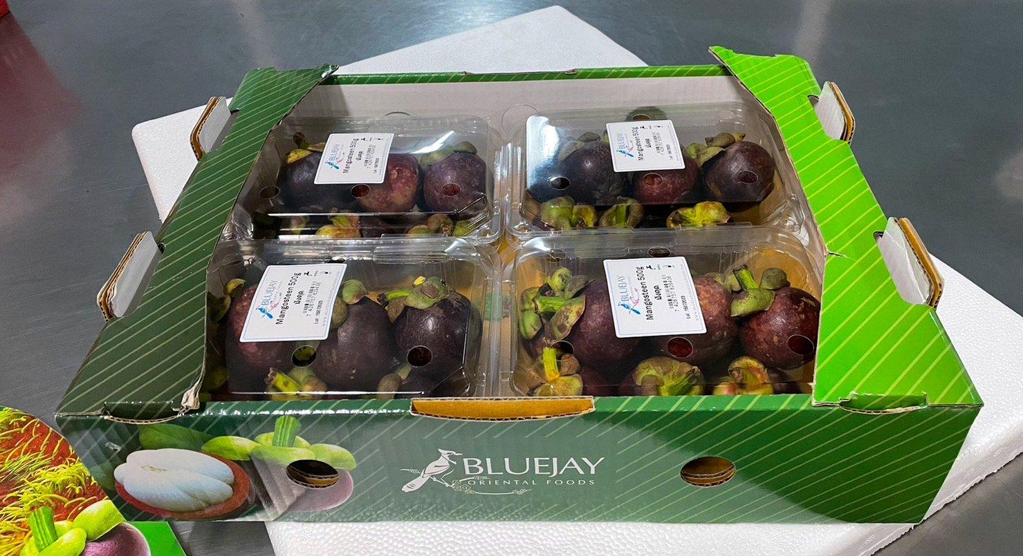 Mangosteen Origin Asia Features Gluten-Free Product Type Fruits & Vegetables