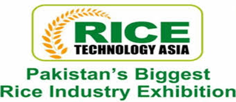 RICE TECHNOLOGY ASIA Revealed: B2B Opportunity