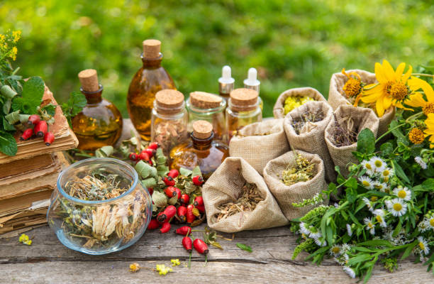 Top 6 Herbal Extract Suppliers in United States in Year 2025