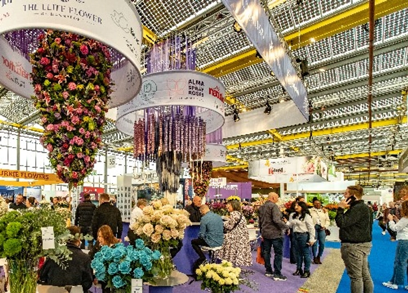 Inside International Floriculture Trade Fair: B2B Key Insights - 1