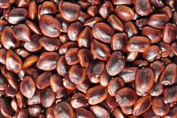 MSQUARE TREND EXPORTS Tamarind Seeds