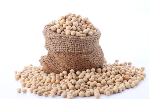 Top 5 Soybean Suppliers in Global in Week 23 of 2025: Urgent Market Update