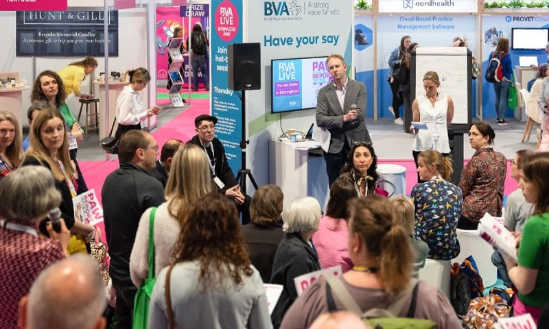 Unlock BVA LIVE: Must-Know B2B Event - 2
