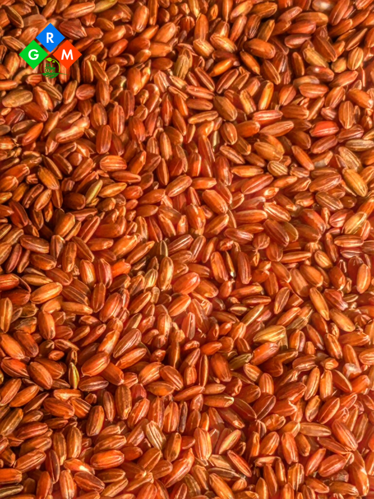 Red Rice Image 2