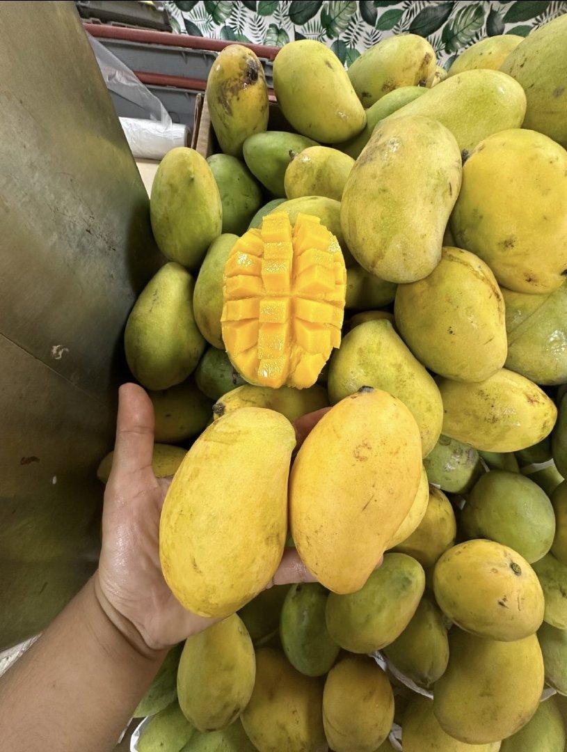 Yellow mango Awees