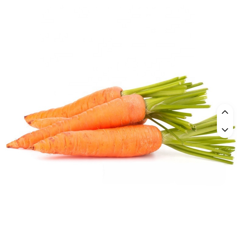 Premium Fresh Carrots All Specifications Wholesale Fresh Vegetables From