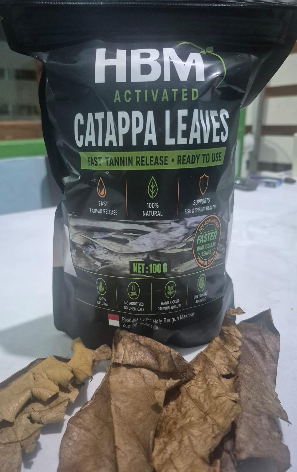 HBM DIAKTIFKAN DAUN KAPPA KERING