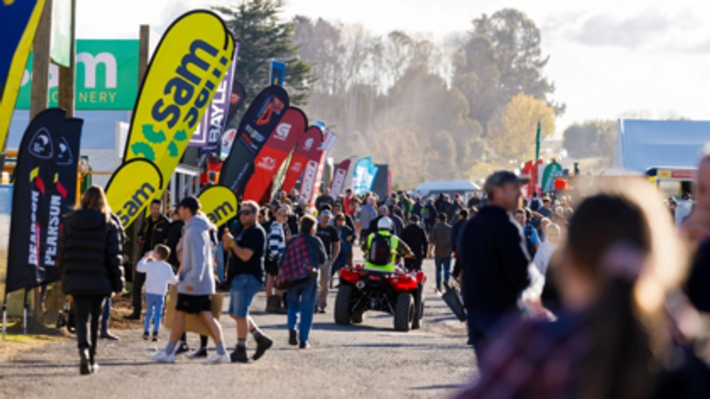 Inside FIELDDAYS: B2B Key Insights - 3
