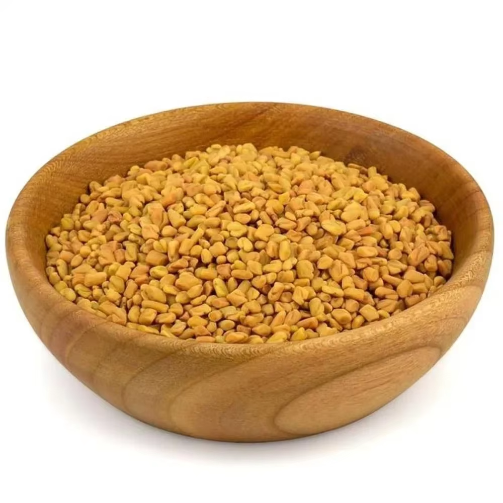 Bulk Fenugreek Seeds – Natural, Cleaned, and High Purity Spice Ingredient for Food Industry, Herbal Remedies, and Commercial Use, Offering Strong Flavor Profile, Excellent Shelf Stability, and Consistent Quality Control, Suitable for Wholesale Distribution, Export Markets, and Large Scale Production Requirements with Custom Packaging and Private Label Options ensuring dependable supply and freshness