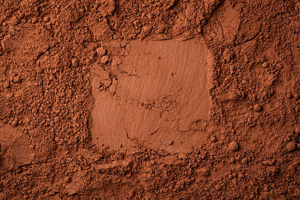 Top 5 Cocoa Powder Suppliers in Italy in Quarter 3 of 2025