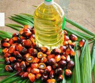 Refined Sunflower Oil & Palm CP-10 Oil