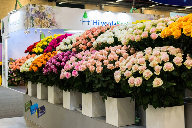 PROFLORA Spotlight: B2B Essentials - 1