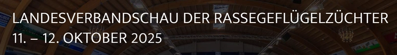 Inside West German Young Poultry Show: B2B Key Insights