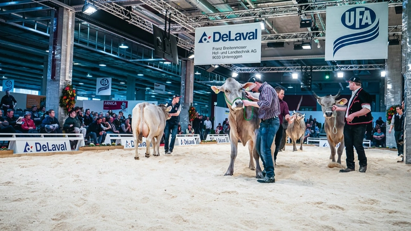 TierTechnik - International Trade Fair for Livestock Husbandry, Agricultural Production, Special Cro Spotlight: B2B Essentials - 2