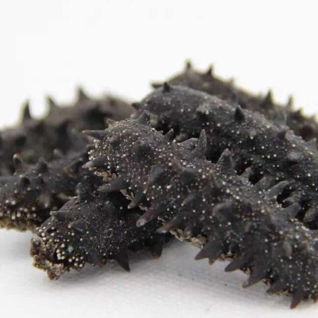 No Salt Cleaned Fresh Nutritious NATURE Original Seafood Freezing Dried Premium Sandfish Sea Cucumber