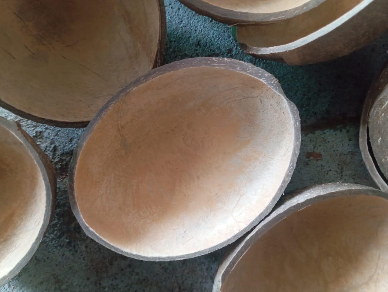 Coconut Shell oval ice cream cup
