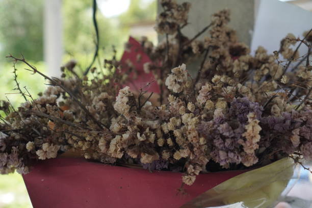 Top 7 Dried Flowers Suppliers in Germany in Year 2025