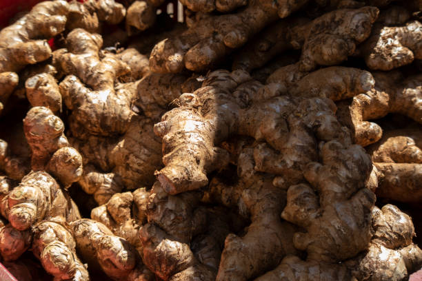 Top 10 Ginger Suppliers in United States in July 2025