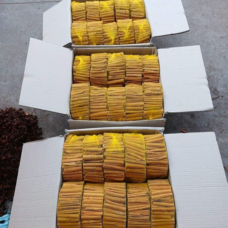 Cinnamon Sticks Image 1