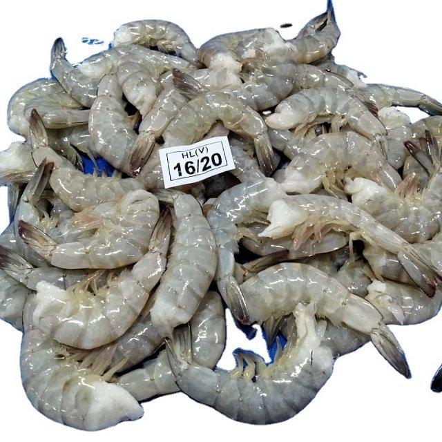 Fresh Shrimp Product