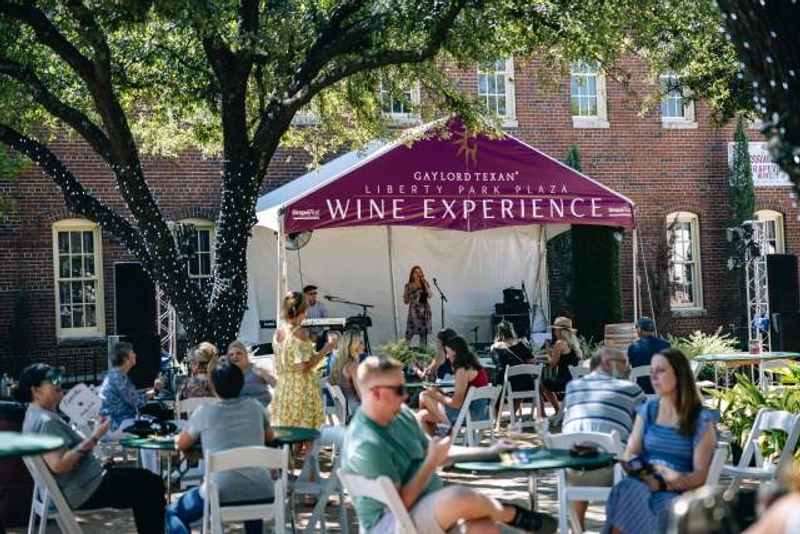 Why Attend GrapeFest - A Texas Wine Experience? B2B Intro - 3