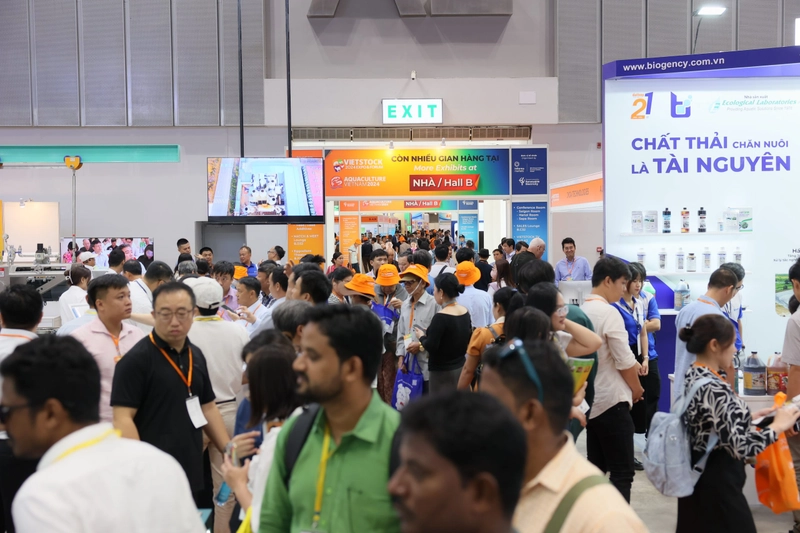 Inside Vietstock Expo & Forum: B2B Key Insights - 1