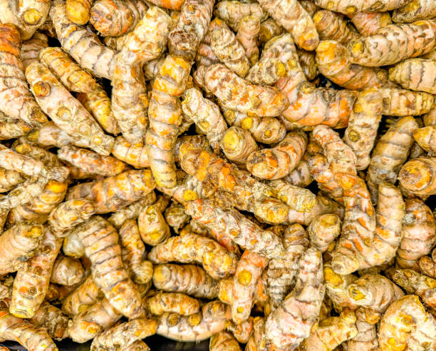 Top 3 Turmeric Suppliers in Sri Lanka in Year 2025: Market Insights, Trends & Verified Sources