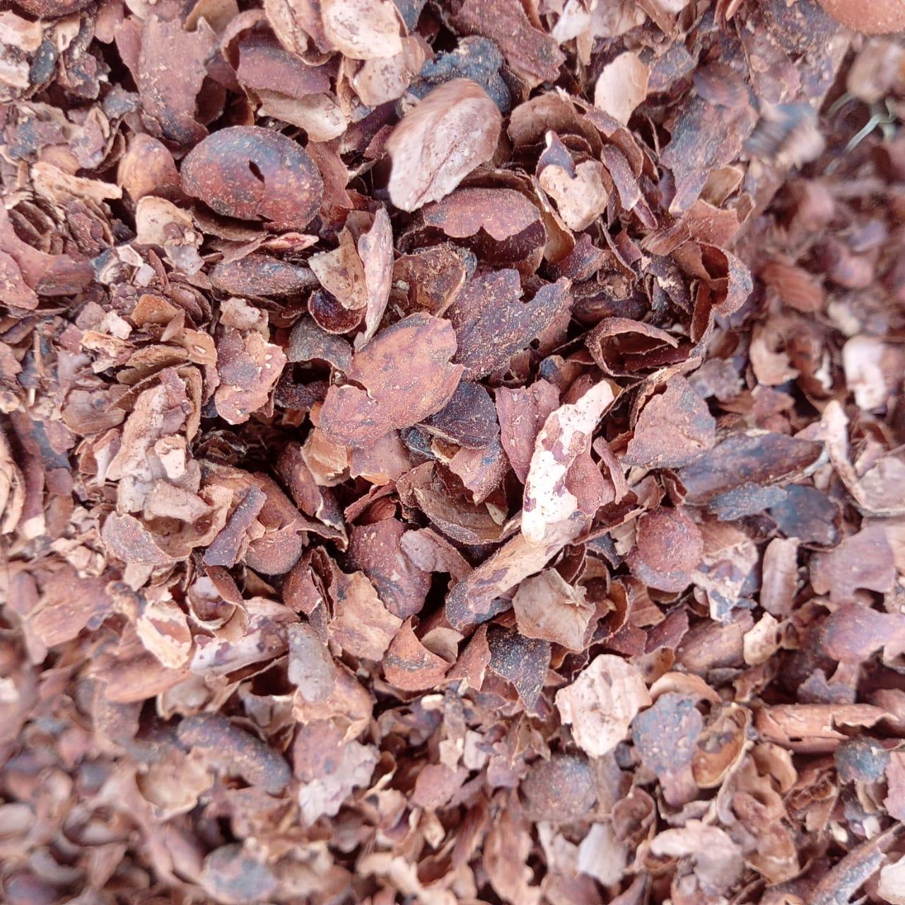 Cocoa Shells