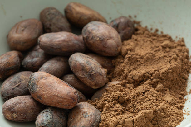 A Comprehensive Guide to Sourcing High-Quality Cocoa Powder: Top 10 Cocoa Powder Suppliers in Thailand in Year 2025