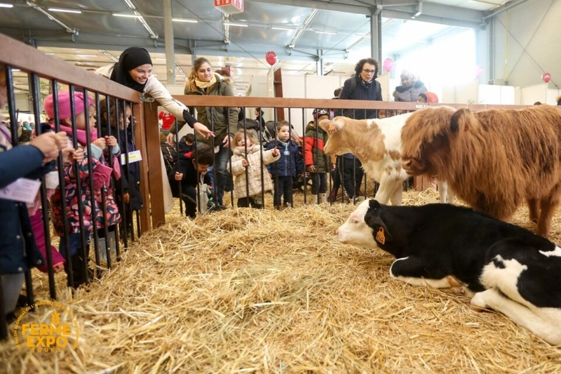 Why Attend Ferme Expo? B2B Intro - 2
