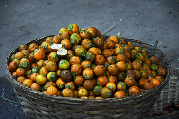 Betel Nut, China, and the Top 3 Betel Nut Suppliers in China in Quarter 3 of 2025