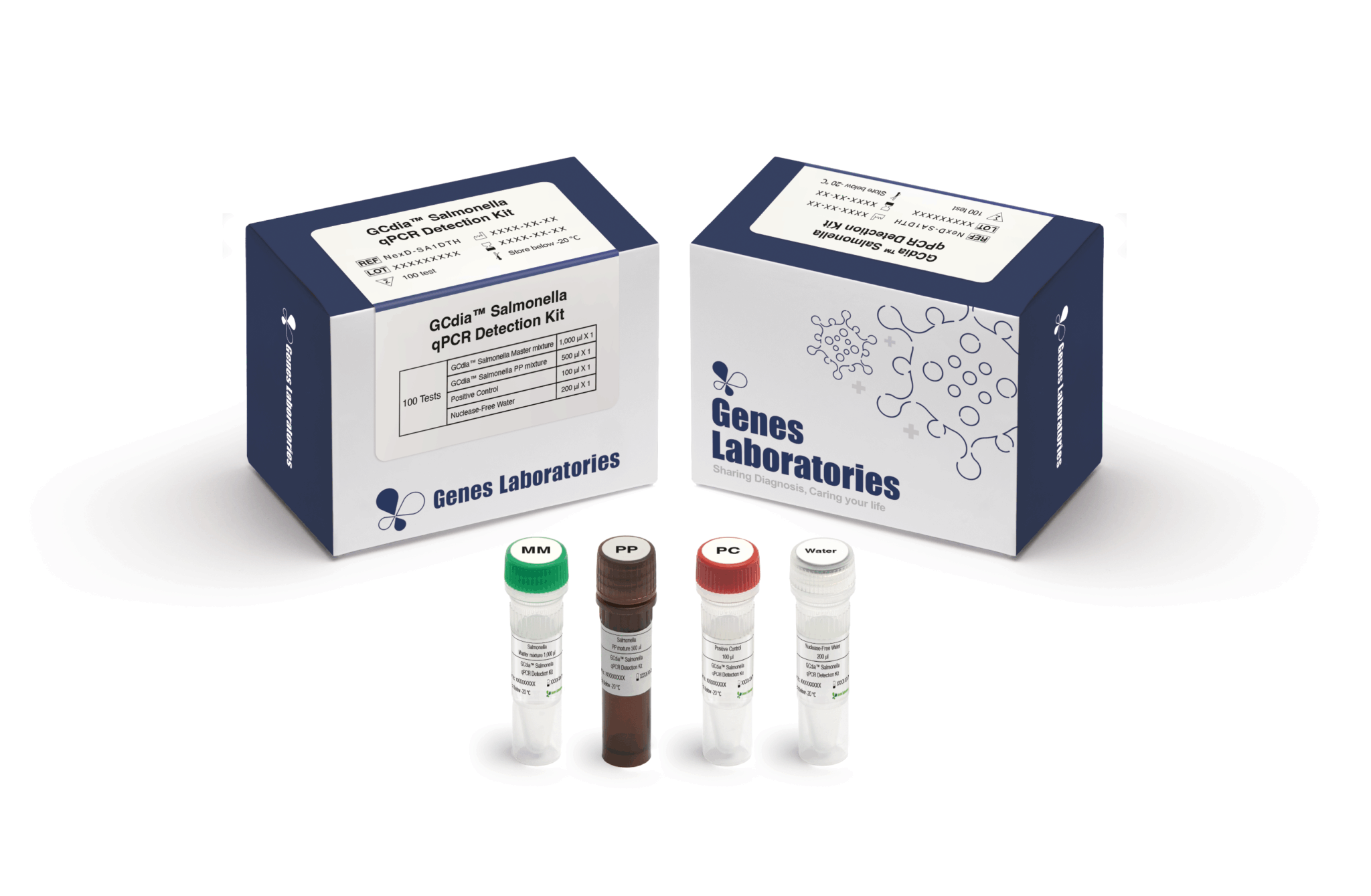 Salmonella RTPCR Machines Test Kits Delivery Form Other