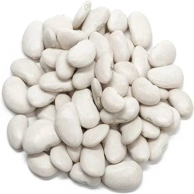 Wholesale White Kidney Beans Large Size White Kidney Beans Export Low Price