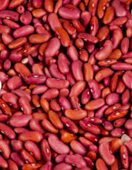 Cheap Wholesale Top Quality White Kidney Beans in Bulk White Kidney.Buy Black Kidney Beans / Black Beans Best Price, Black Kidney
