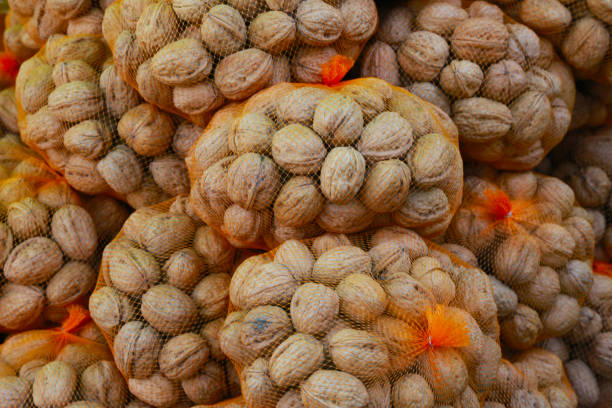 Urgent Market Update: Top 7 Nut Suppliers in Belgium in July 2025