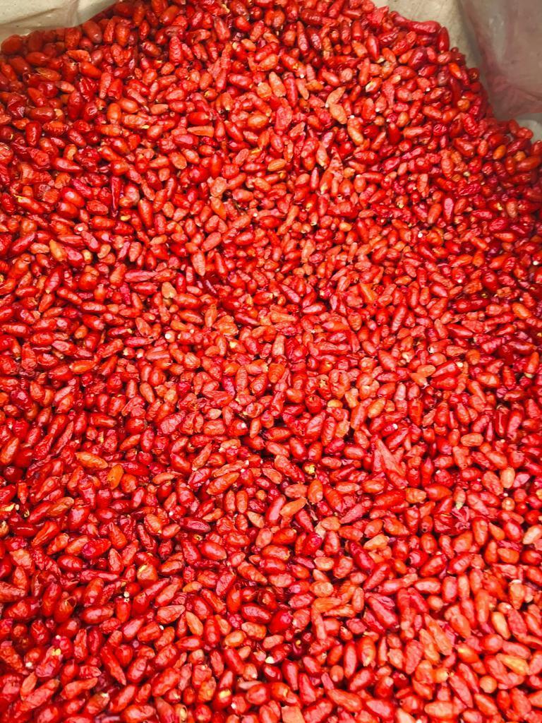 Red Chili Bird Eye