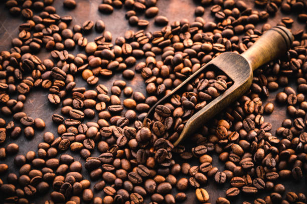 Your Expert Guide to Procuring Top-Tier Roasted Coffee Beans: Top 6 Roasted Coffee Beans Suppliers in Egypt in Quarter 3 of 2025