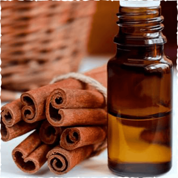 Cinnamon Essential Oil by Vinasamex
