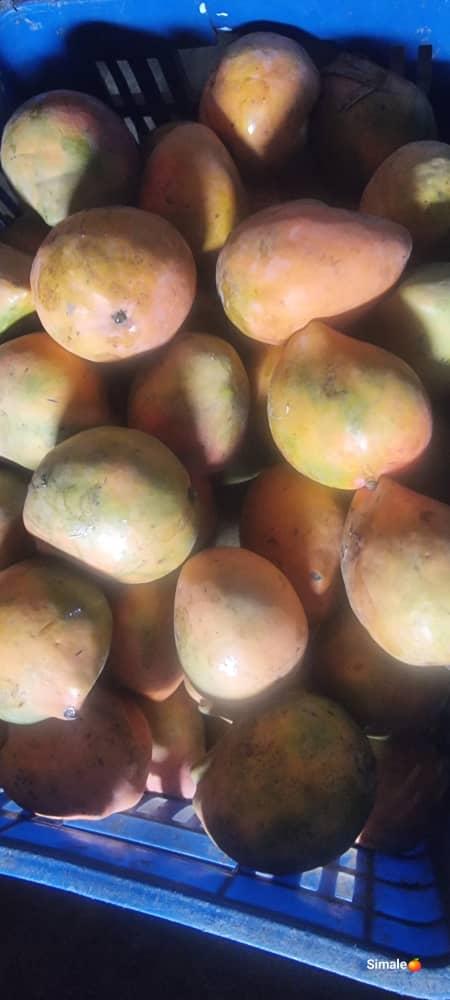 Mango Kent Image 1