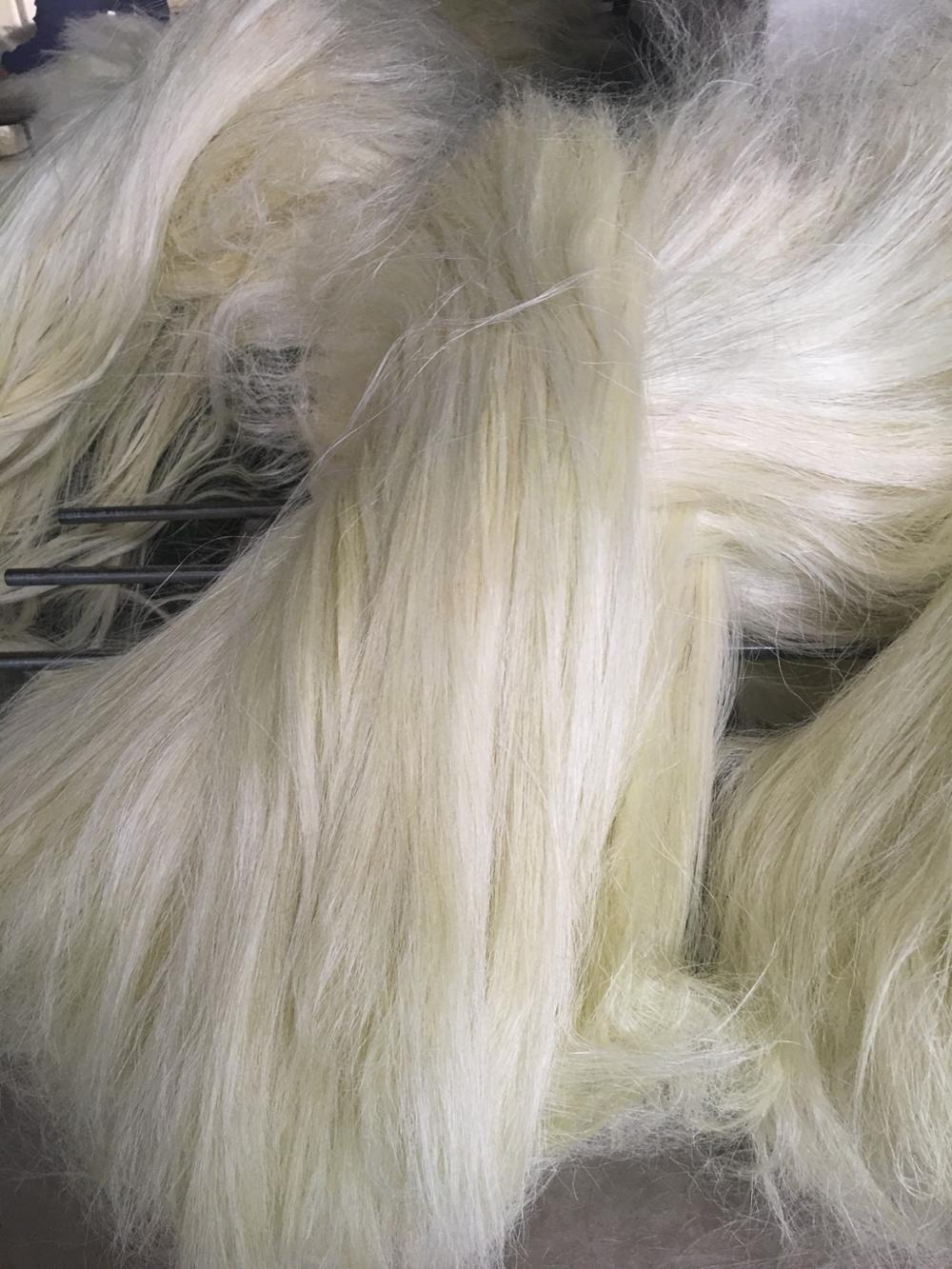Natural Sisal Fiber Top Grade Eco-Friendly High Quality for Concrete and Spinning Applications