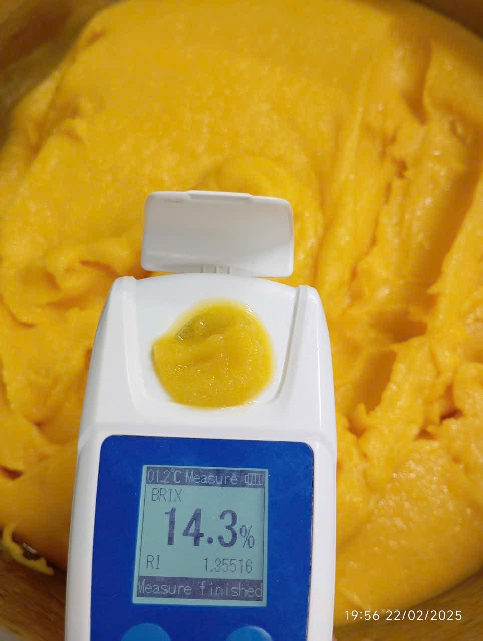 IQF Kaew Mango Dices 2
